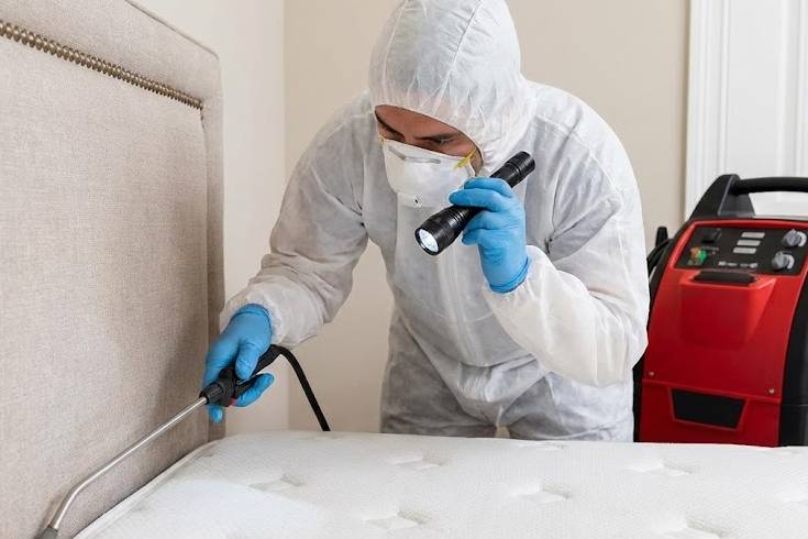 Ant infestation treatment in kitchen by licensed pest control technician