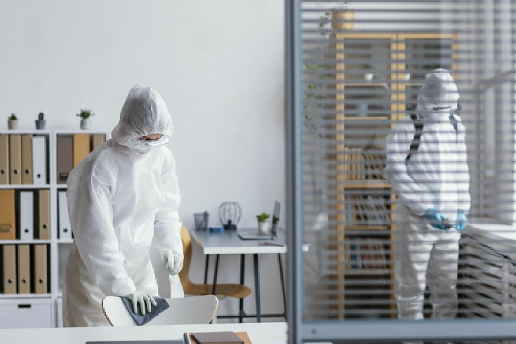 Professional Bed Bug Remediation: Thermal and Chemical Approaches